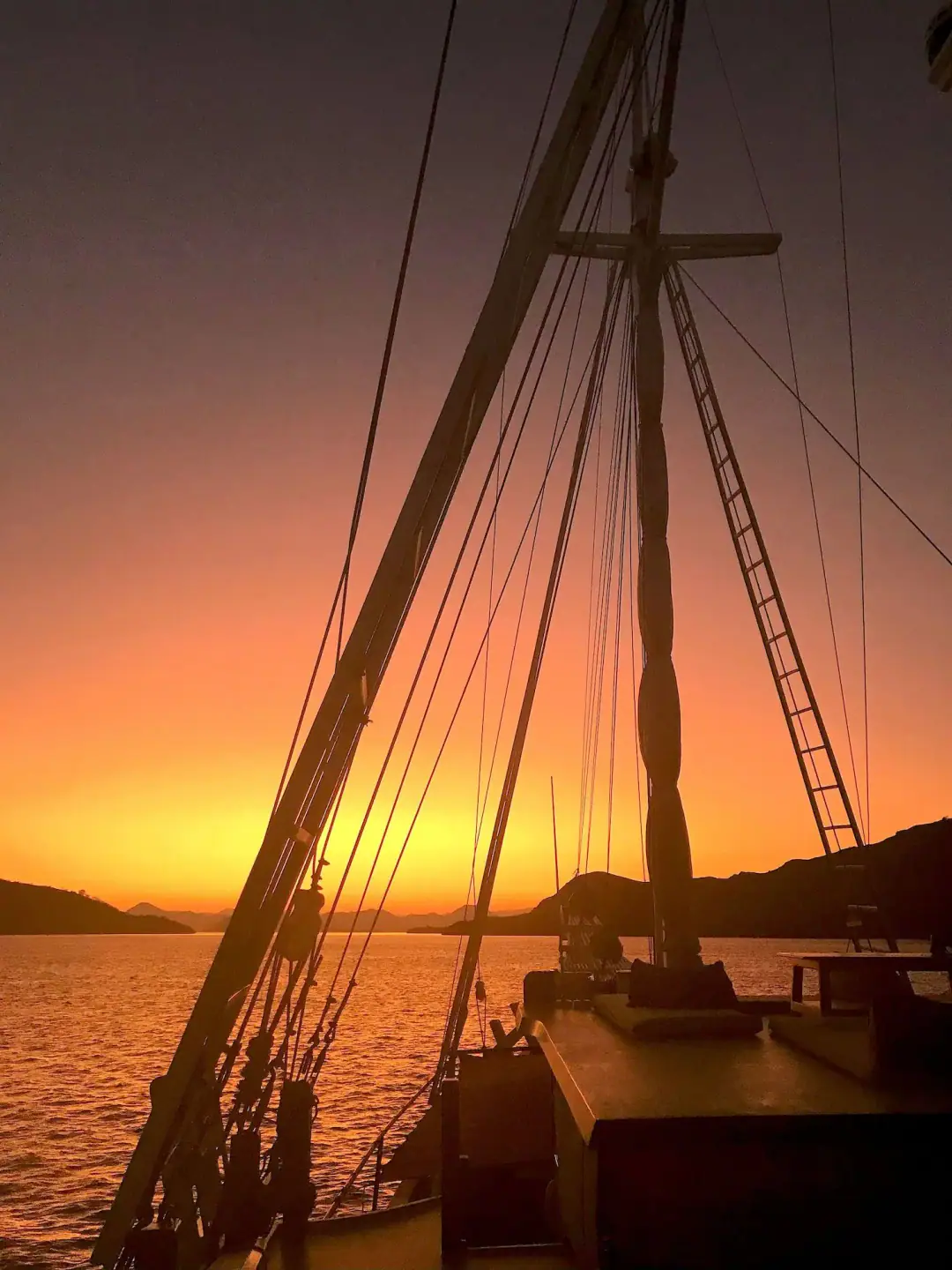 20220729-215535603-i-os-1-1500-x-2000