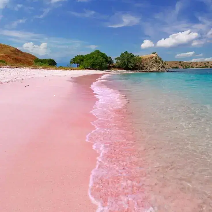 Pink beach in Komodo Island