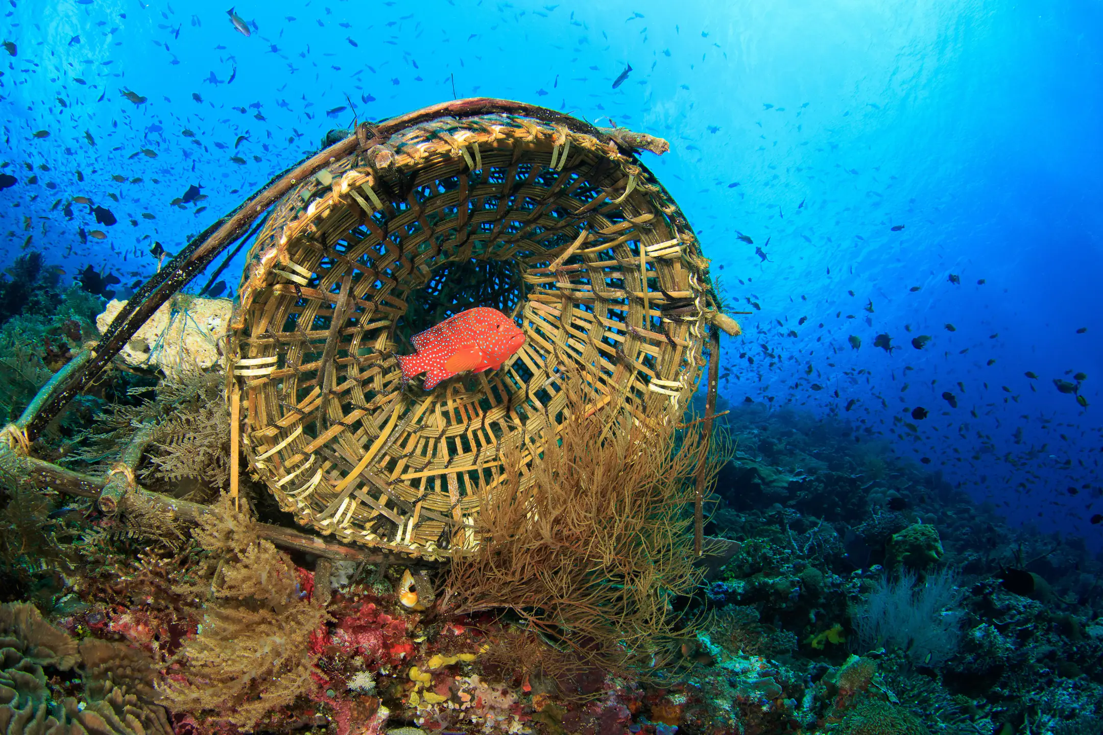 alor-bubu-traditional-fish-trap