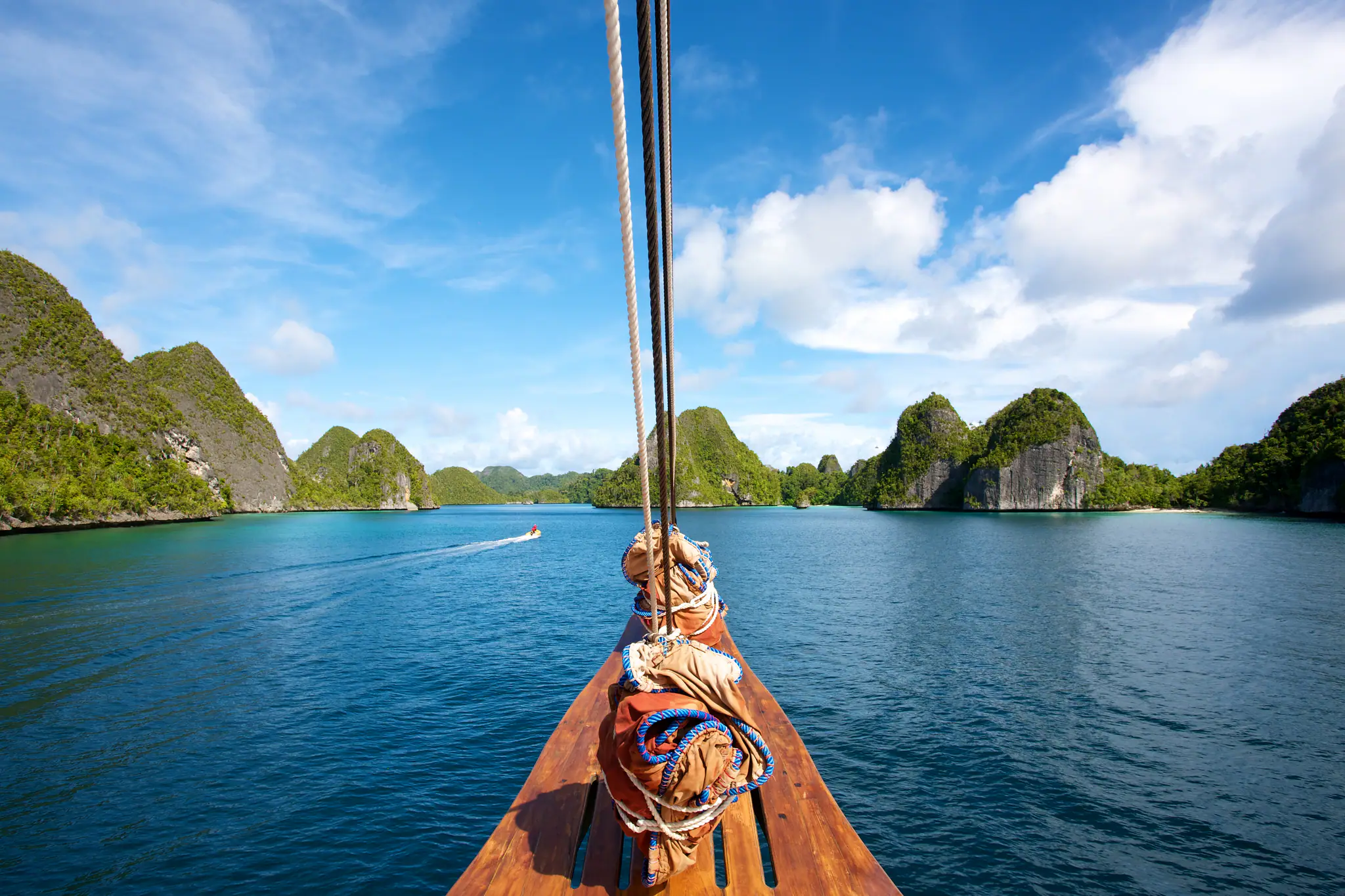 bow-pulau-wayag-tiger-blue-4