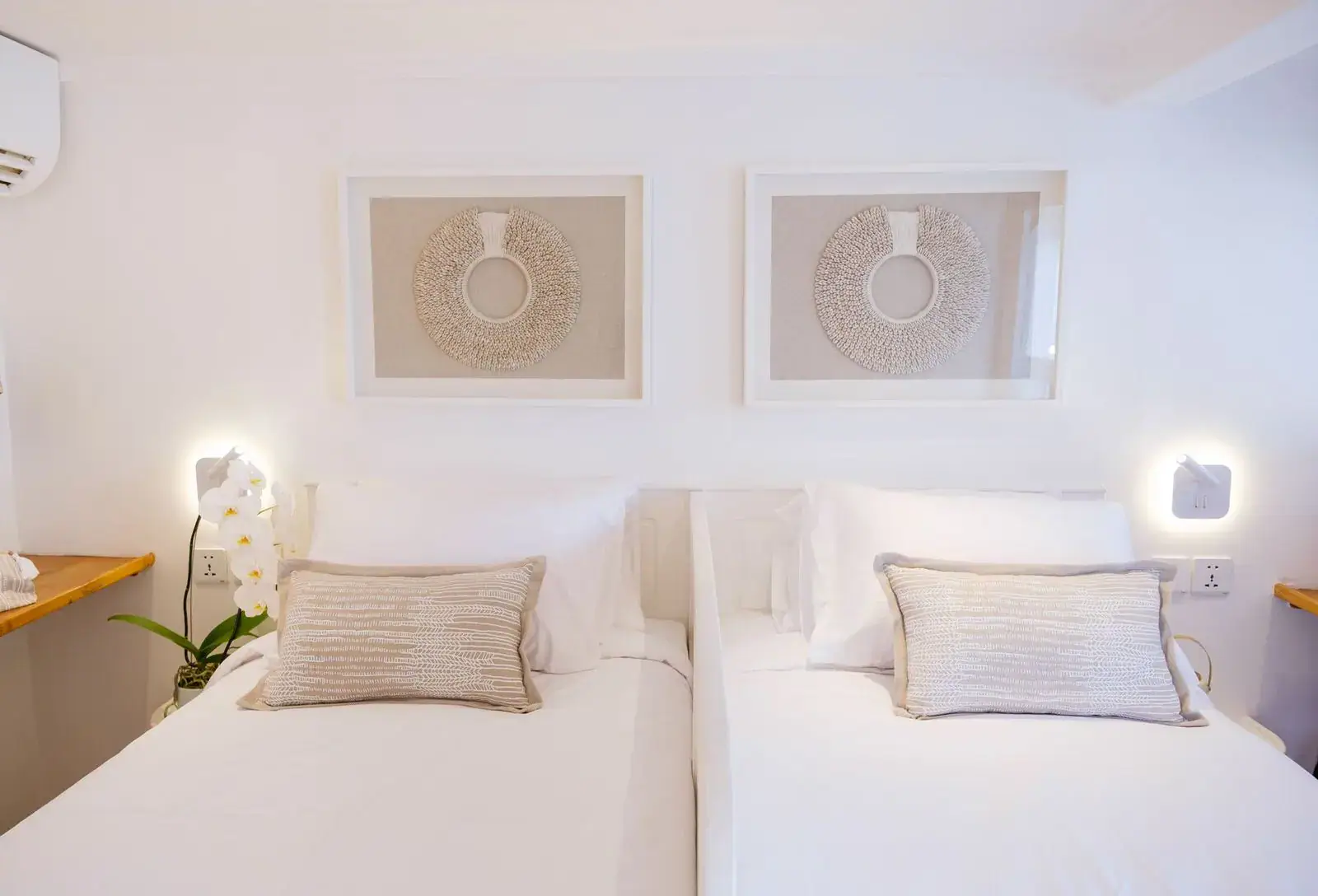 dlxocv-2-min-1920-x-1306