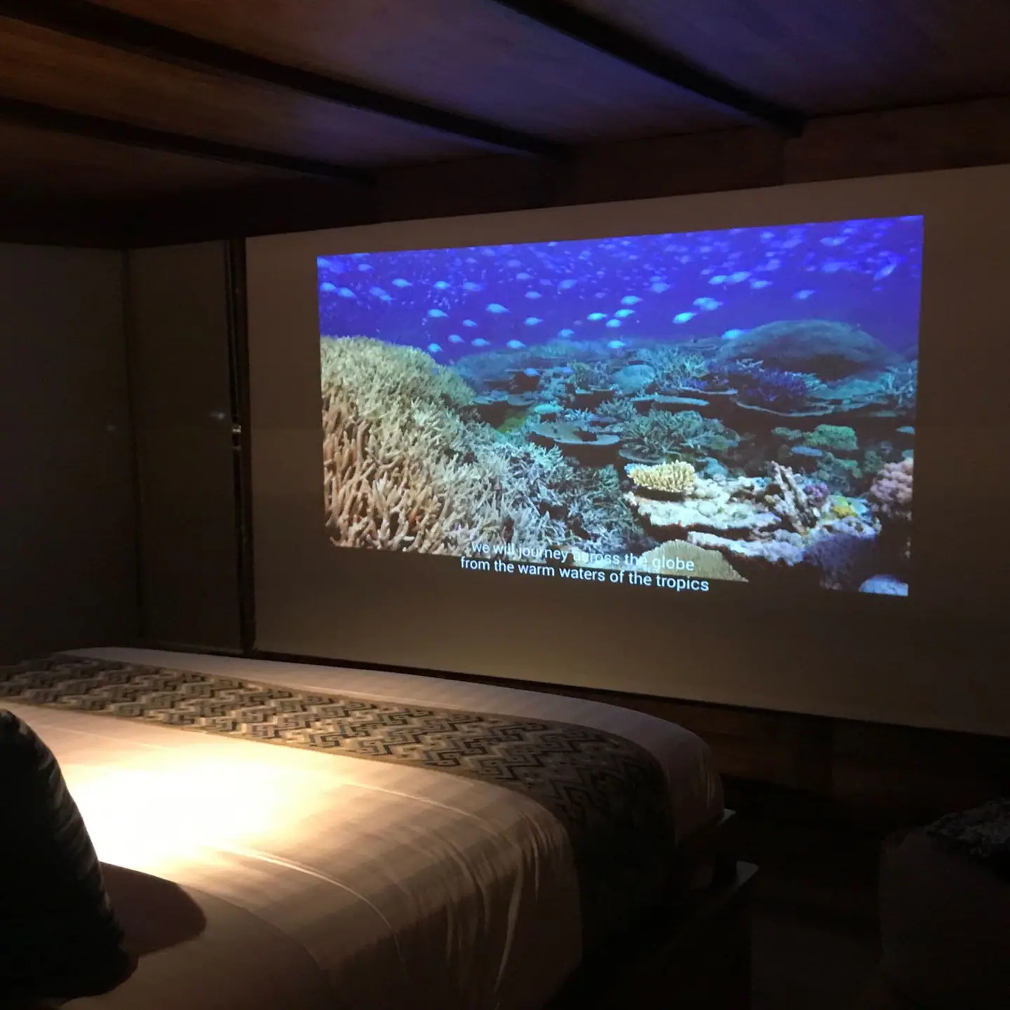 hvwyte-3-m-1920-x-1920