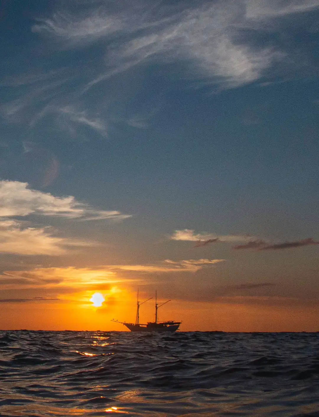 p-8250170-1-1552-x-2027