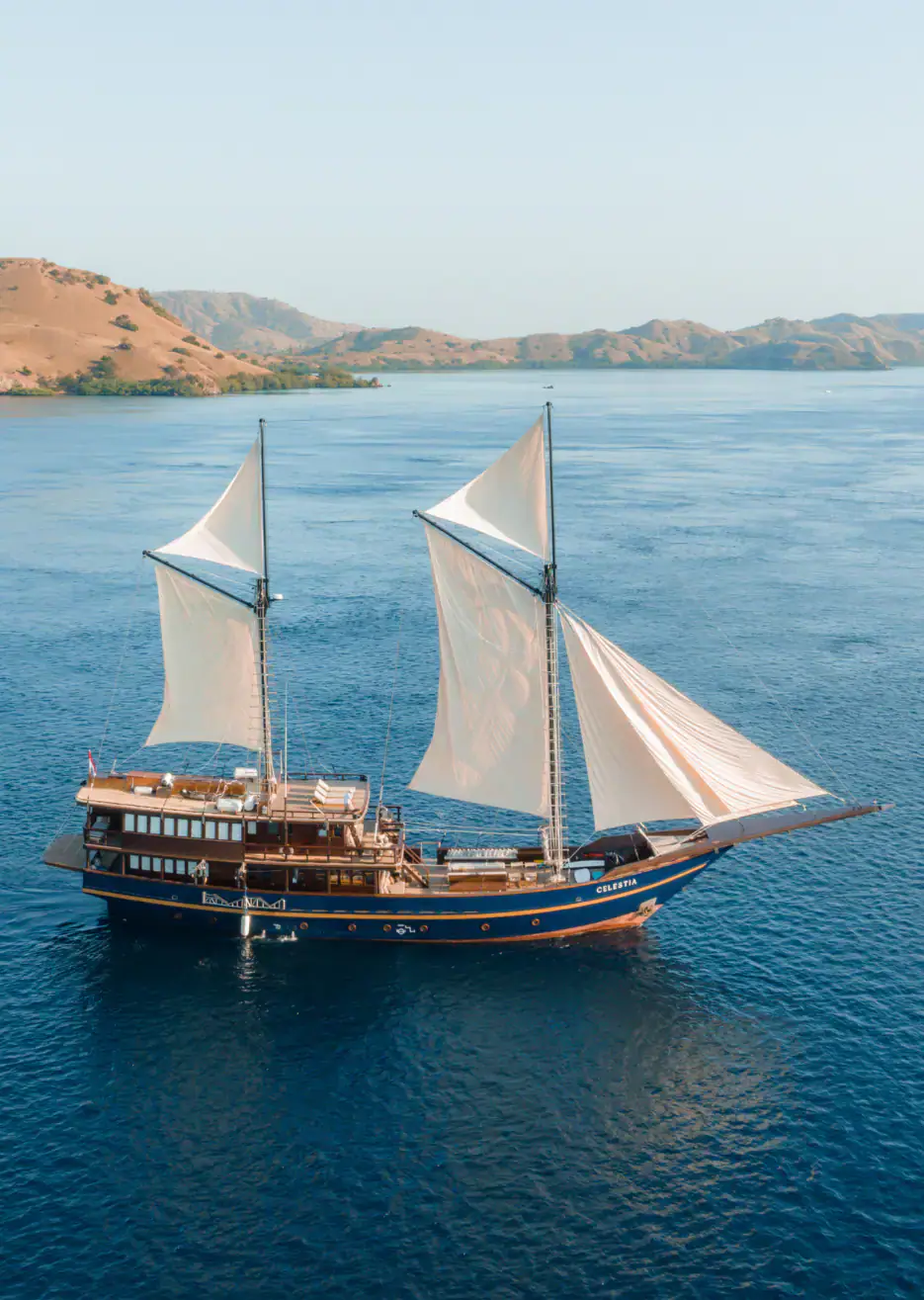 Celestia Yacht Charter